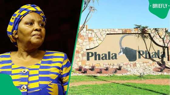 Nosiviwe Mapisa-Nqakula claims ANC MPs were ordered to reject Phala Phala report, SA fires back