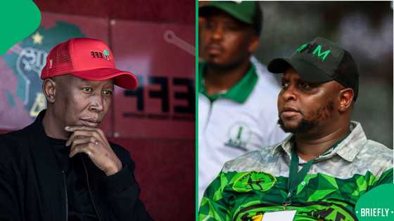 Julius Malema reacts to Floyd Shivambu's demotion from Secretary-General to MP