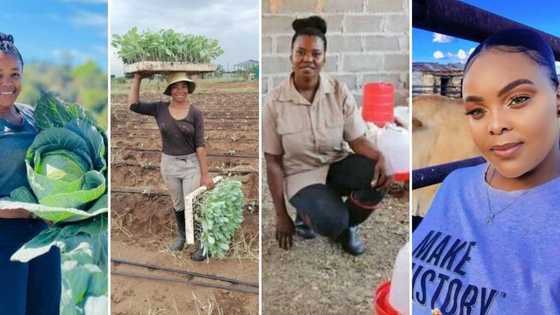 Women of the soil: 4 Times inspiring Mzansi female farmers started successful agricultural enterprises