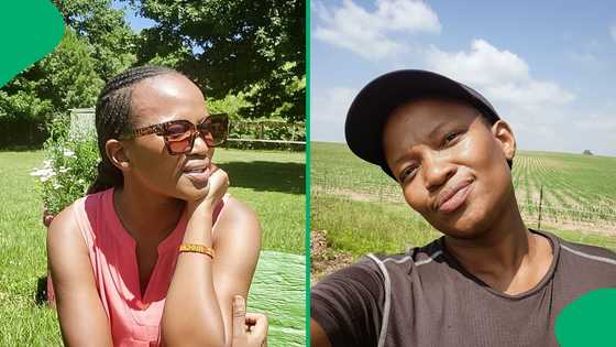 "This is peanuts": Woman shows reach truck driver's payslip leaves Mzansi divided