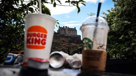 Auld reekie: Edinburgh bin strike leaves a bad smell