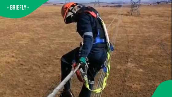 "Salary better match the danger": Man hangs on tall electric cable in risky job in TikTok video, SA floored