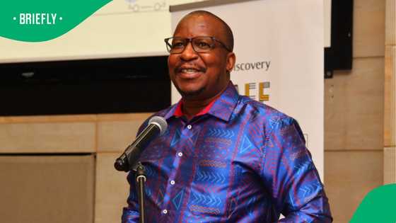 Gauteng MEC denies claims of foreign nationals getting priority in school placements