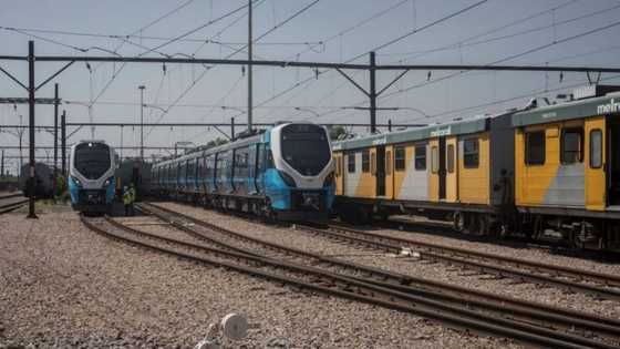 Prasa estimates 3 000 employees on payroll do not exist, working to clean up workforce