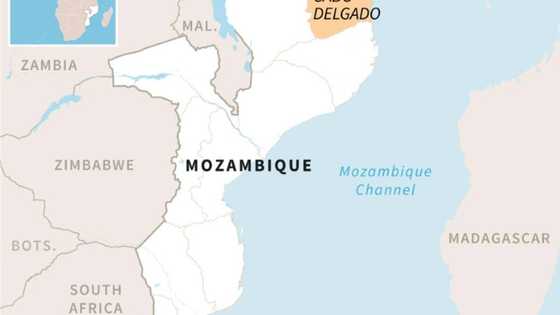 Total CEO expected in Mozambique after gas project halted