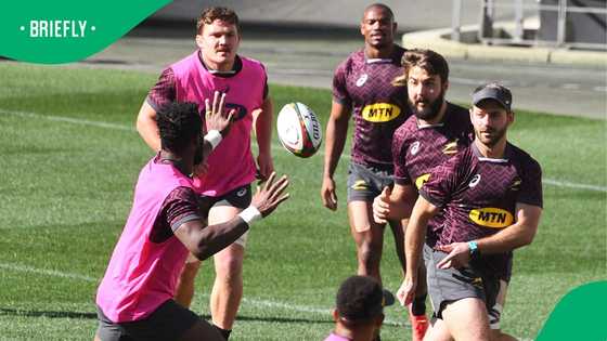 Springboks suffer yet another injury setback ahead of Australia clash after Siya Kolisi blow