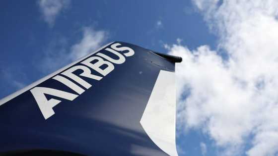 Air India to buy 250 Airbus planes in 'historic' deal