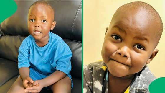 "He is parenting you": Zuluboy questions mom about unhealthy food choices, SA in stitches