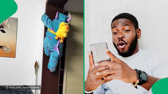 "Somebody bring some holy water": Wall-climbing toddler leaves the internet stunned