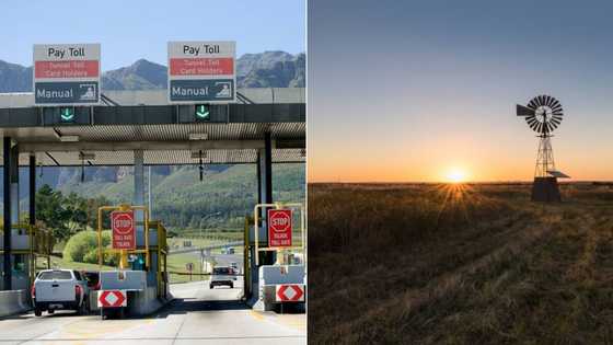 Farm owner starts own illegal border crossing, allows Lesotho vehicles into SA
