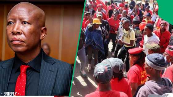 EFF celebrates as Julius Malema secures leave to appeal prison sentence