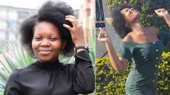 "Beacon of hope": Durban lady lands job after 1 year 7 months unemployed, Mzansi showers her with praise