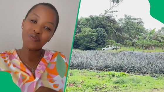 Woman in USA for internship shares details in TikTok Video