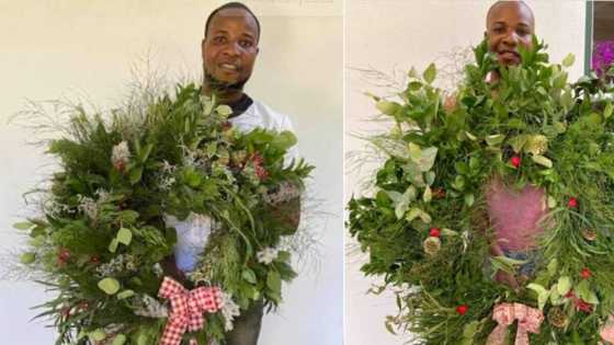 "Absolutely beautiful": Gardener crafts spectacular Christmas wreaths, Saffas blown away by raw talent