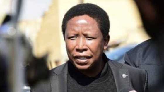 Happy birthday Juju: Wishes pour in as Julius Malema turns 40 this week