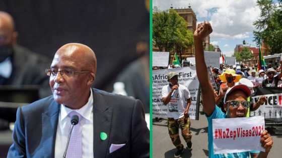 Home Affairs minister Aaron Motsoaledi loses bid to appeal Zimbabwean Exemption Permit court ruling