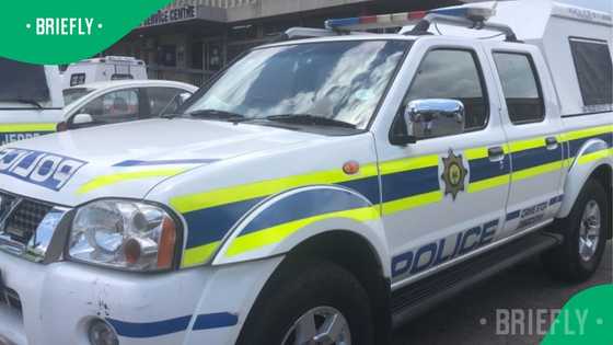 Shocking clip shows panga-wielding man hacking elderly white couple in savage Plettenberg Bay attack