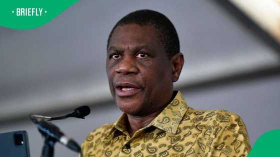 SAPS to investigate deputy president Paul Mashatile assassination attempt