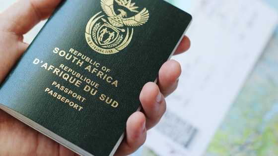 ID and passport applications at FNB and other banks in 2024: detailed breakdown