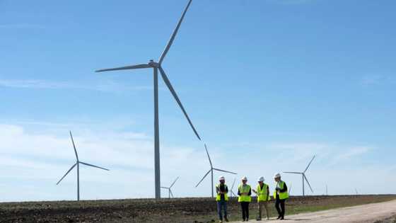Texas: Wind and solar stake claim to land of oil