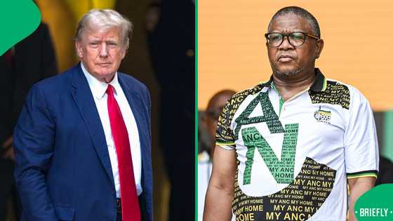 Fikile Mbalula says ANC won't abandon BEE and expropriation laws despite sanction threat, SA divided
