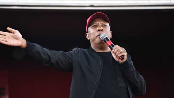 "Jews don't play with their lives": Malema says Israel's vaccine policy convinced him to get the jab