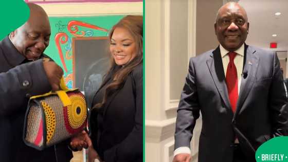 "And they are very expensive": Cyril Ramaphosa raves about a woman's R600,000 handbag in viral video