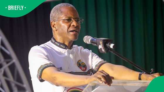 IFP promises to deport undocumented foreign nationals in eThekwini if elected
