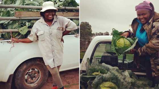 Lady who ditched accounting to pursue passion for farming couldn't be happier