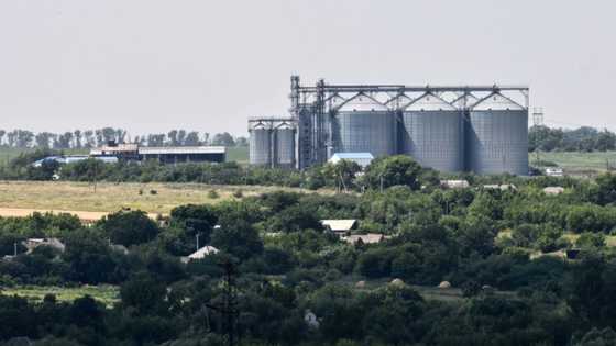 Large part of Ukraine grain storage lost in war: report