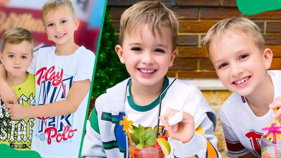 Vlad and Niki's net worth: how much the kidfluencers earn monthly