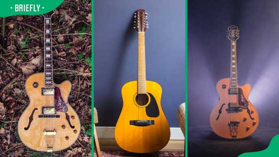 16 most expensive guitars in the world and their price tags