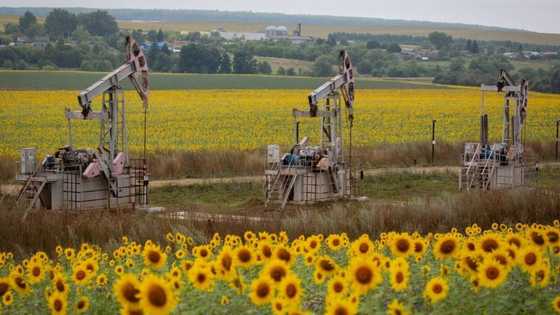 Business news: Oil hits 32 month high as demand continues to grow