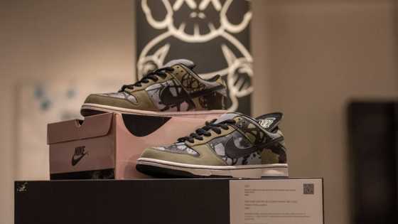 Top 10 rarest Nike shoes you must see: What are their prices?