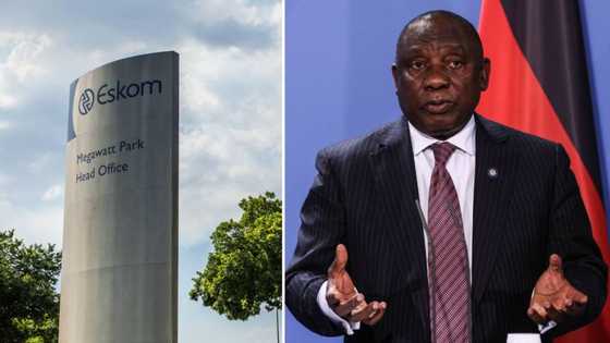 President Cyril Ramaphosa cancels work trip to Davos to solve loadshedding, leaving Mzansi unfazed