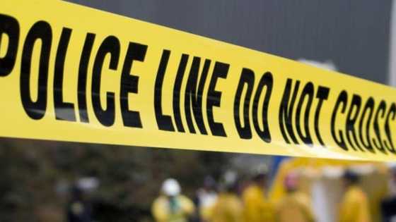 Toddler kills mum accidentally after finding dad's gun in backseat of car