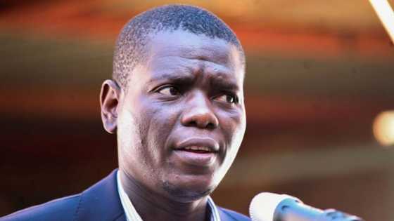 Land expropriation setbacks continue as 18th Amendment Bill vote is poorly attended, Ronald Lamola airs suspicions