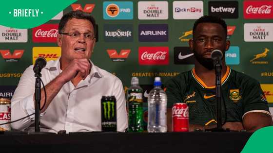 Rassie Erasmus delivers unexpected verdict after Springboks defeat All Blacks