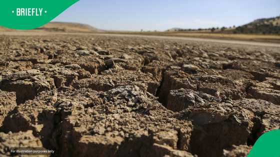 SA worried as climate warning projects 1,200 heat-related deaths due to upcoming El Niño