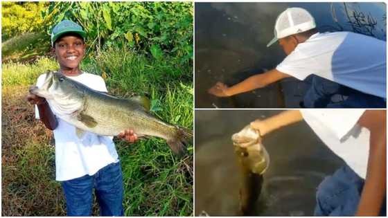 Video shows kid returning big fish to the river, people say he's not hungry