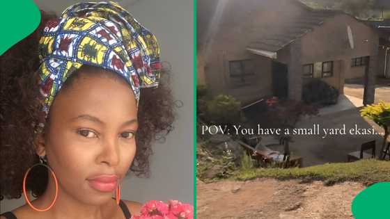 "Let's create a new narrative": Woman turns small kasi yard into Greek-like oasis