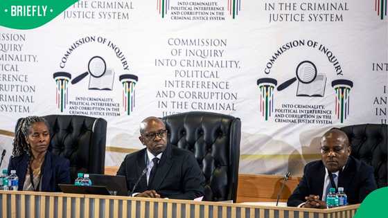 Witness F to return to testify before Madlanga Commission after withdrawing urgent court application