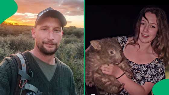 "That's evil": Ranger outraged by woman taking baby wombat away from its mother, SA aggrieved