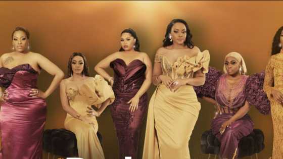'The Real Housewives of Johannesburg' viewers not feeling the show after watching meet the cast videos