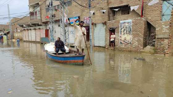 Flood toll tops 800 in Pakistan's 'catastrophe of epic scale'