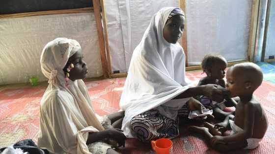 Insecurity, inflation deepen malnutrition in Nigeria's northwest
