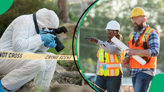 Gauteng police probe killing of five men linked to Mamelodi's Boko Haram gang