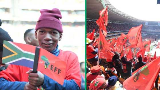 Famous members of the Economic Freedom Fighters, including Busi Mkhwebane, Eugene Mthethwa and 3 more