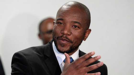 Mmusi Maimane calls for a new subject in place of LO to help with critical thinking, Mzansi in 2 minds
