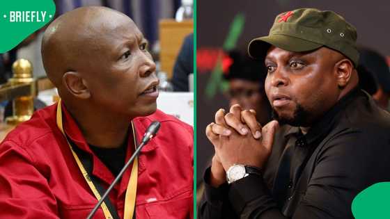 Julius Malema’s ‘Mxm’ response to Floyd Shivambu’s EFF criticism sparks mixed reactions online